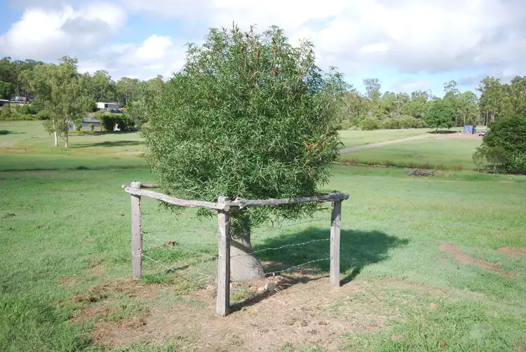 Fourth view of Homely land listing, 73 Choota Drive, Antigua QLD 4650
