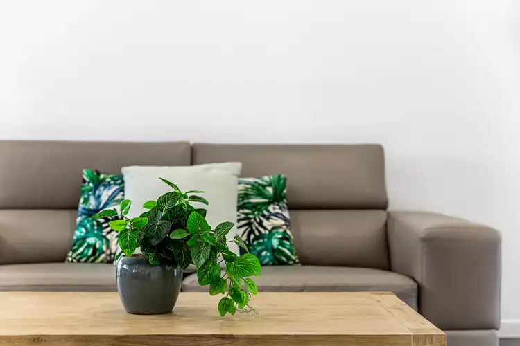 Fourth view of Homely house listing, 22 Bourke Street, Burpengary East QLD 4505