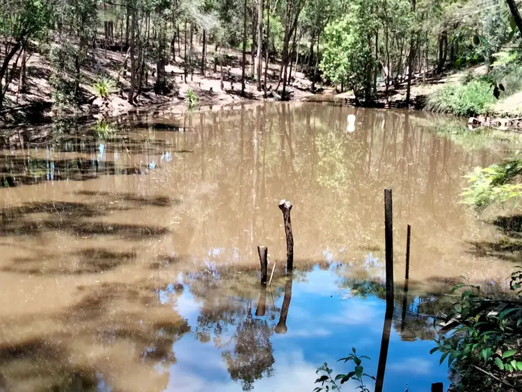 Sixth view of Homely rural property listing, 116 HILLS RD, Maroondan QLD 4671