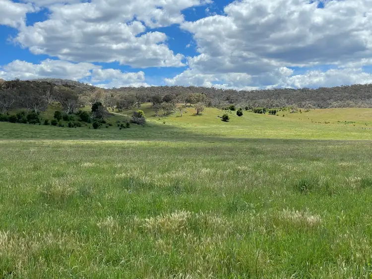 Sixth view of Homely rural property listing, LOT 17 Bobeyan Road, Bolaro NSW 2629