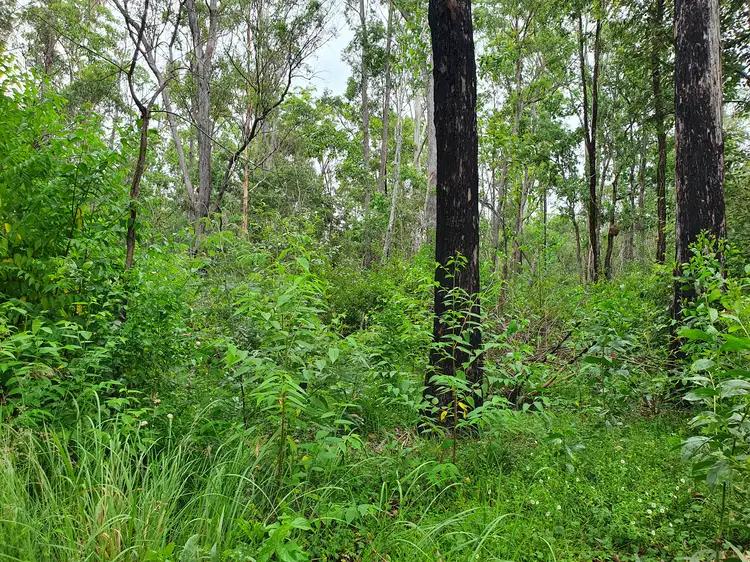 LOT 6 Crumpton Drive, Blackbutt QLD 4314