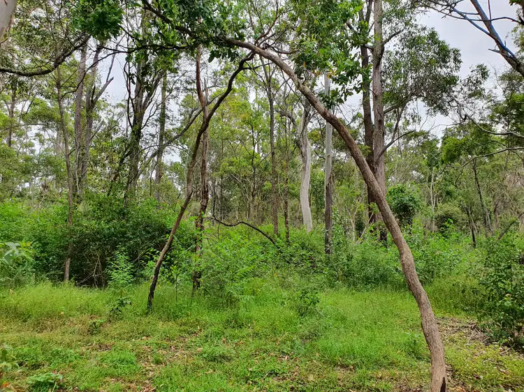 Third view of Homely rural property listing, LOT 6 Crumpton Drive, Blackbutt QLD 4314
