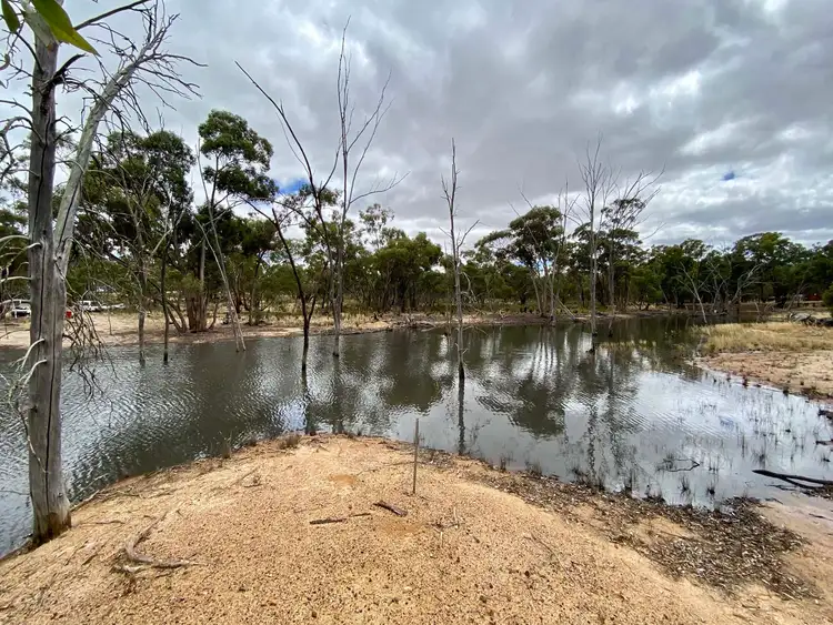 Sixth view of Homely rural property listing, 53 Sanderson Court, Bealiba VIC 3475