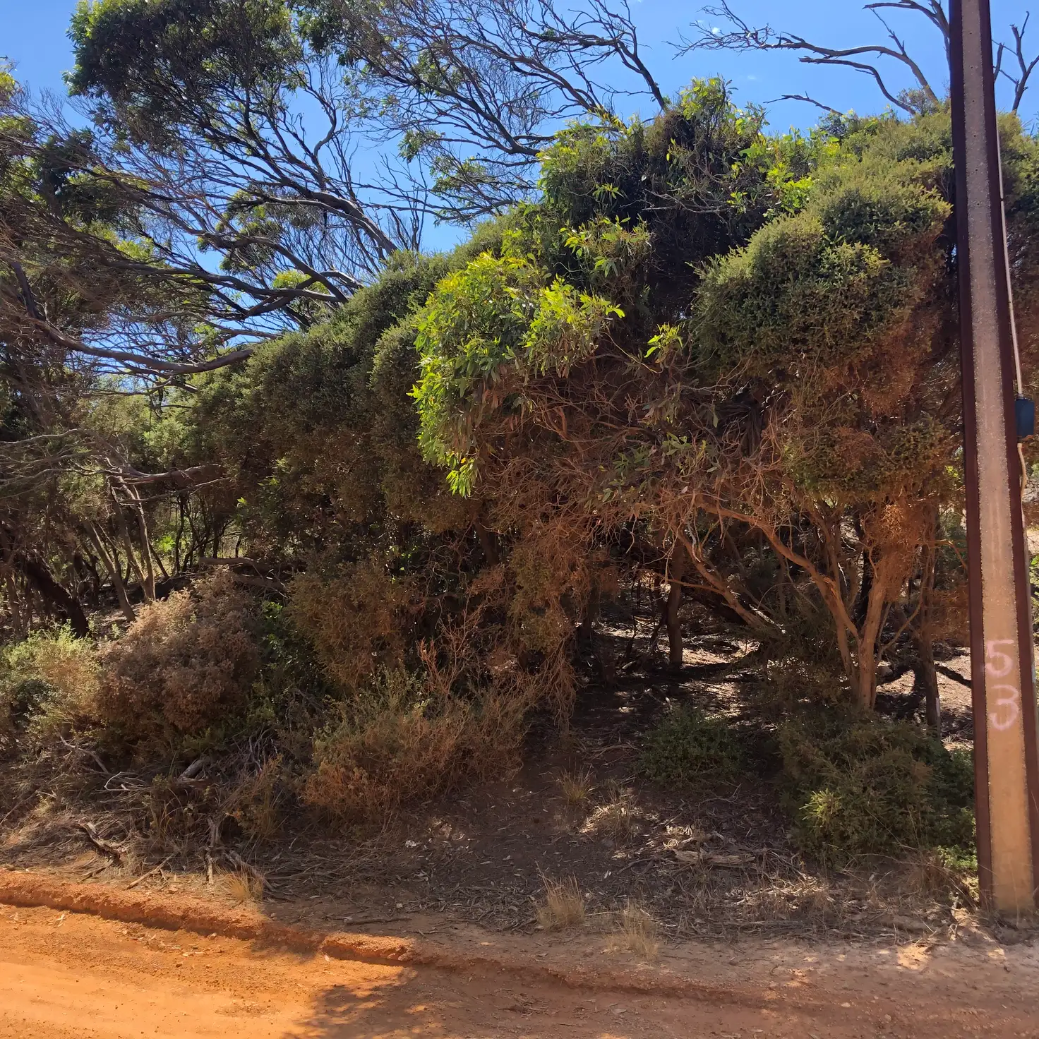 Main view of Homely land listing, LOT 6 Bayview Rd, Vivonne Bay SA 5223