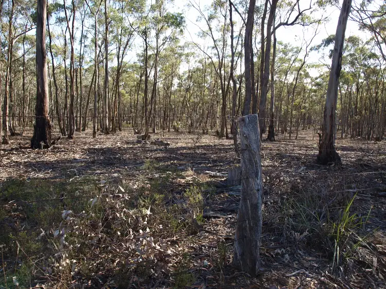 Second view of Homely rural property listing, 171 Bealiba-Moliagul Road, Bealiba VIC 3475