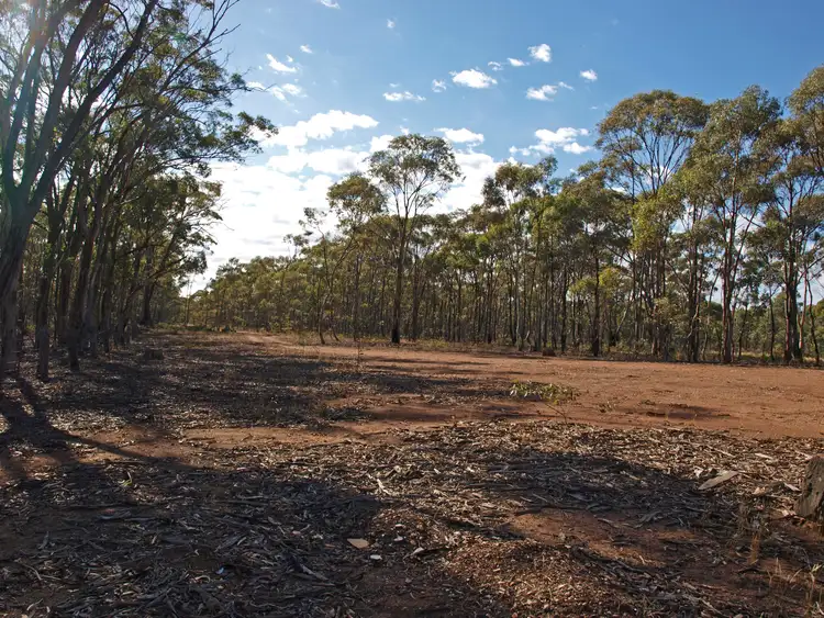 Sixth view of Homely rural property listing, 171 Bealiba-Moliagul Road, Bealiba VIC 3475