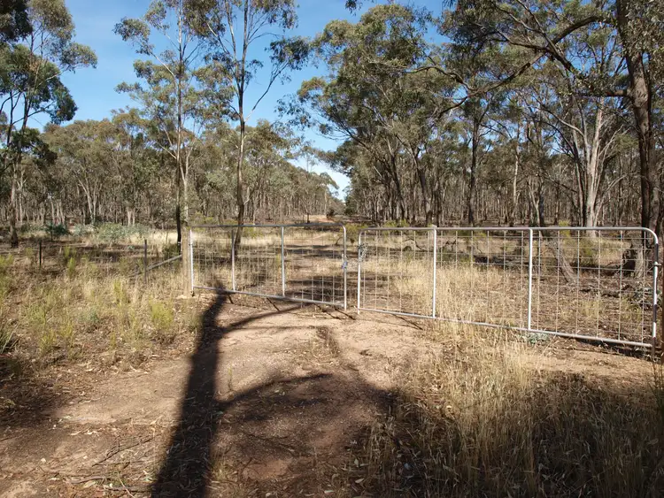 Seventh view of Homely rural property listing, 171 Bealiba-Moliagul Road, Bealiba VIC 3475