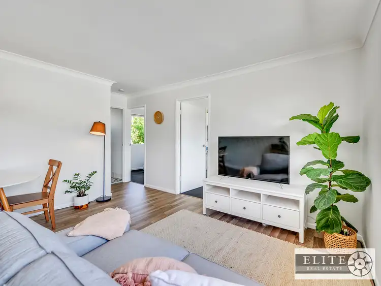 Main view of Homely unit listing, 5/25 BRISBANE STREET, St Lucia QLD 4067