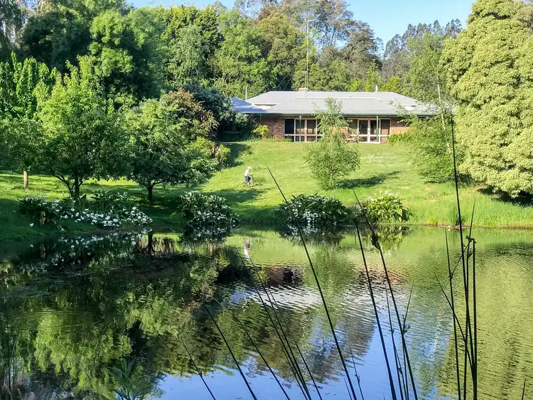 Main view of Homely rural property listing, 154 Ferndale Road, Ferndale VIC 3821