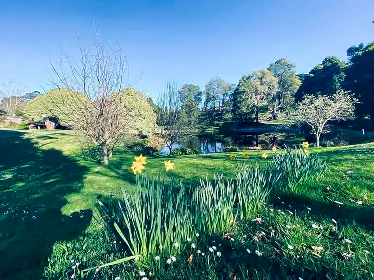 Third view of Homely rural property listing, 154 Ferndale Road, Ferndale VIC 3821