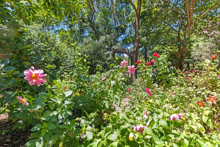 Sixth view of Homely house listing, 58 TREEHAVEN WAY, Maleny QLD 4552