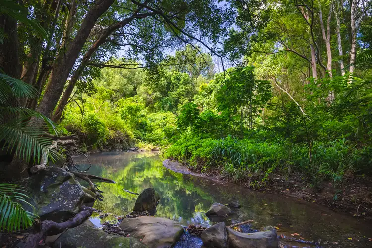 Second view of Homely land listing, 260 King Road, Mooloolah Valley QLD 4553