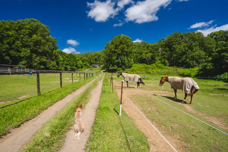 Fifth view of Homely land listing, 260 King Road, Mooloolah Valley QLD 4553