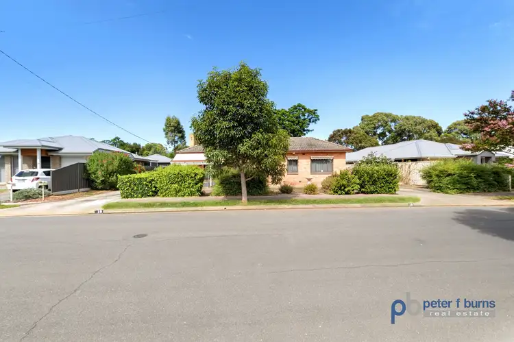 19 Fetlar Avenue, Marion SA 5043
