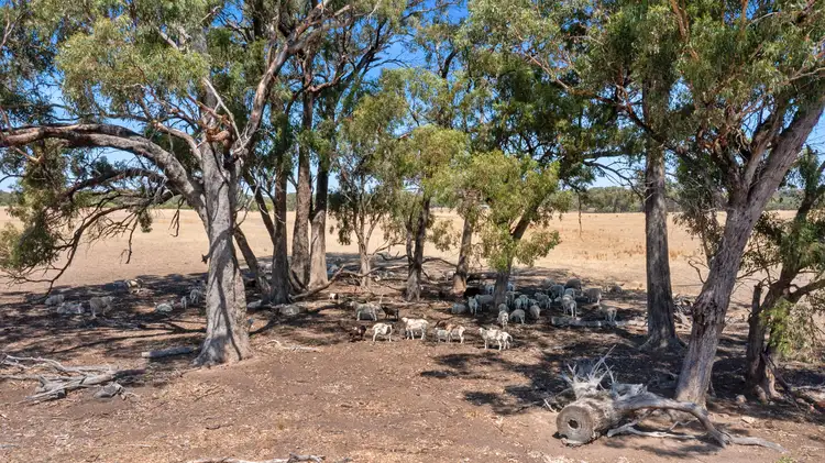 Third view of Homely land listing, 256 ANGLE ROAD, Murchison VIC 3610