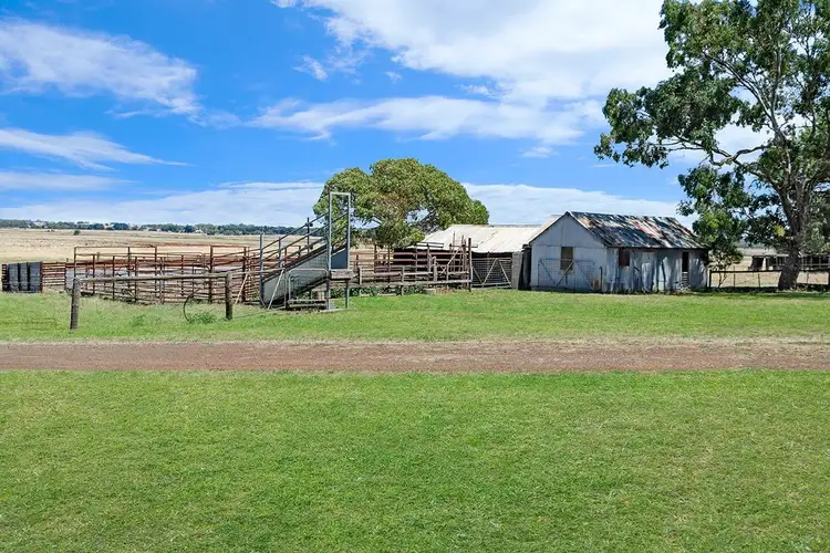 Third view of Homely rural property listing, 1200 Myamyn-MacArthur Road, Knebsworth VIC 3286