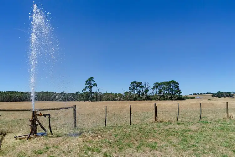 Fifth view of Homely rural property listing, 1200 Myamyn-MacArthur Road, Knebsworth VIC 3286