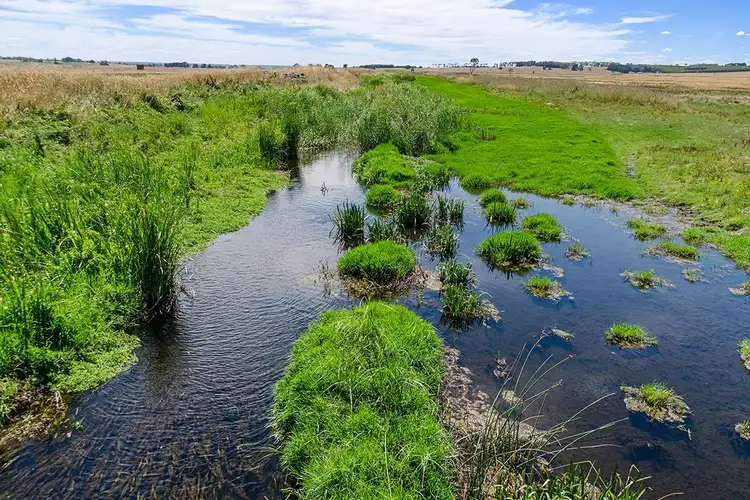 Sixth view of Homely rural property listing, 1200 Myamyn-MacArthur Road, Knebsworth VIC 3286