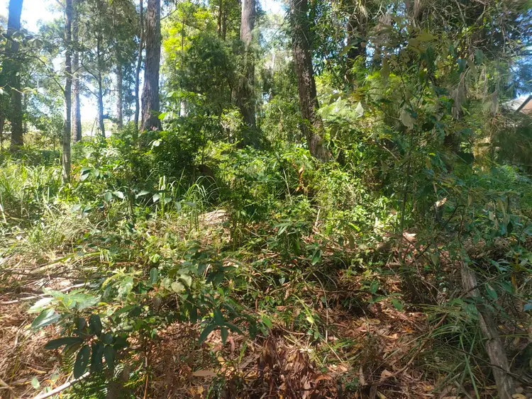 Fifth view of Homely land listing, 10 Monsoon Street, Russell Island QLD 4184