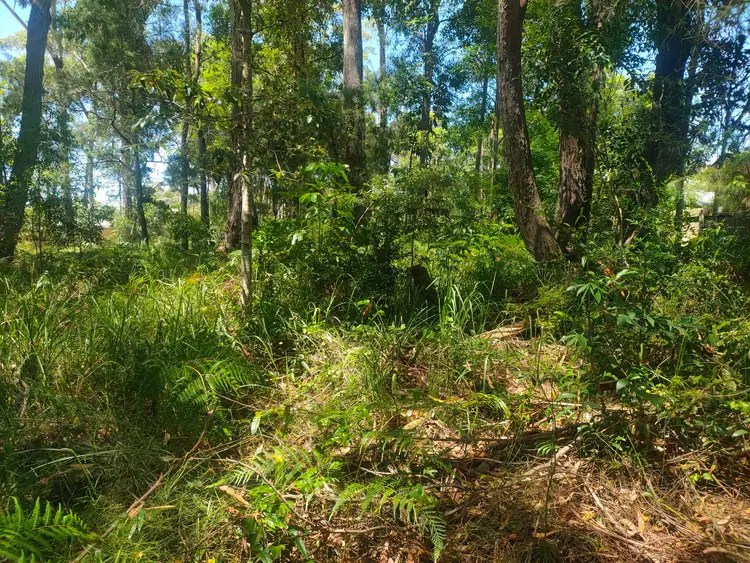 Seventh view of Homely land listing, 10 Monsoon Street, Russell Island QLD 4184