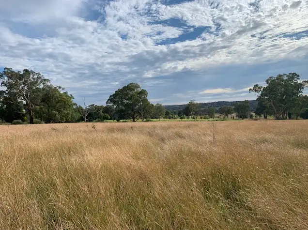 Main view of Homely house listing, LOT 1/186 Back Brawlin Road, Cootamundra NSW 2590