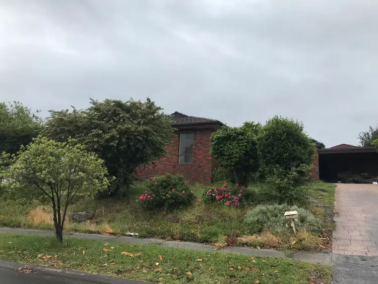 Main view of Homely house listing, 10 Ramsay Court, Endeavour Hills VIC 3802