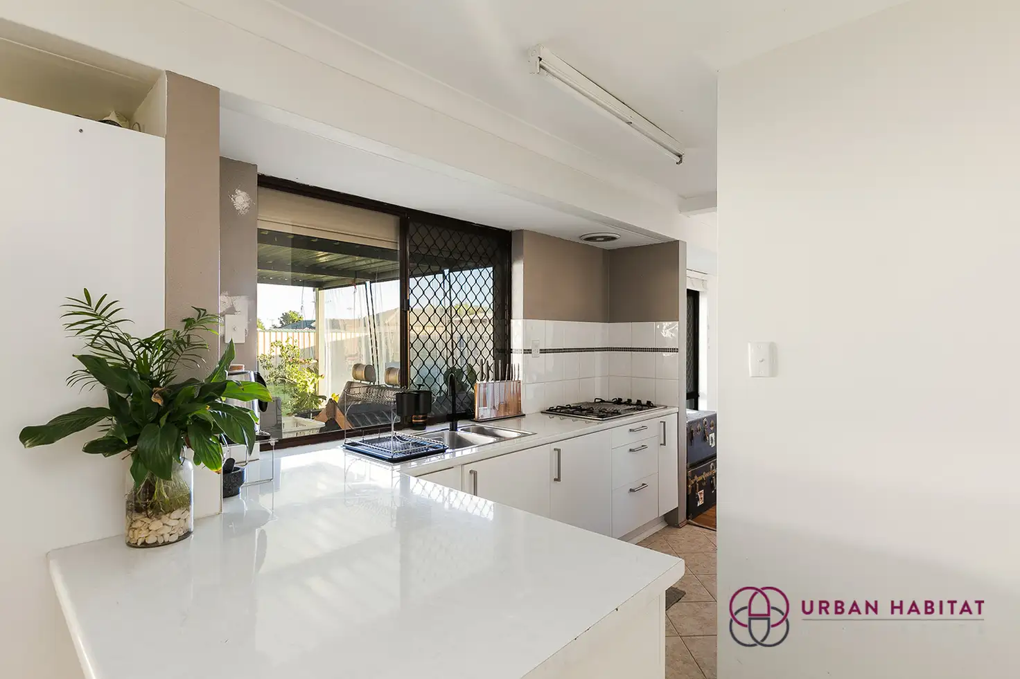 Main view of Homely house listing, 11 Grange Drive, Cooloongup WA 6168