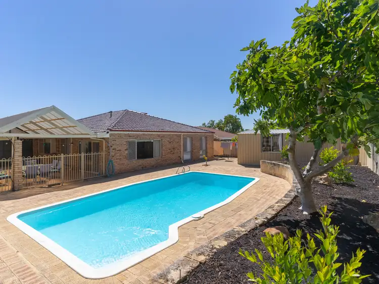 Fourth view of Homely house listing, 7 AZELIA STREET, Alexander Heights WA 6064