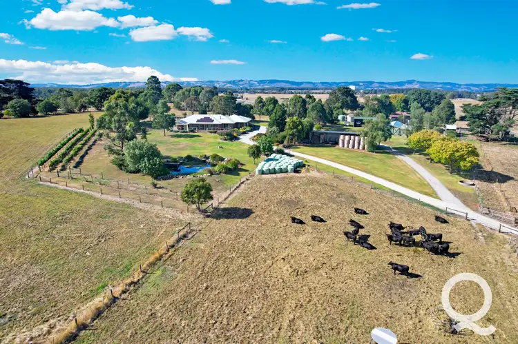 360 Nilma-Shady Creek Road, Nilma North VIC 3821