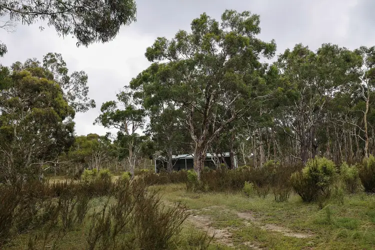2397 Oallen Ford Road, Oallen NSW 2622