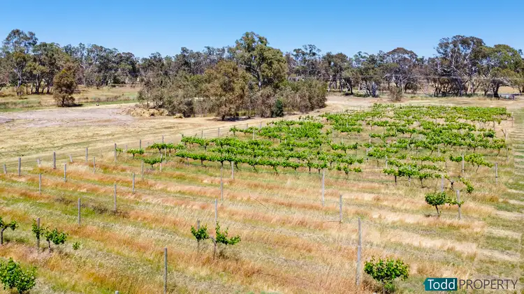 Fourth view of Homely rural property listing, 468 Northern Highway, Heathcote VIC 3523