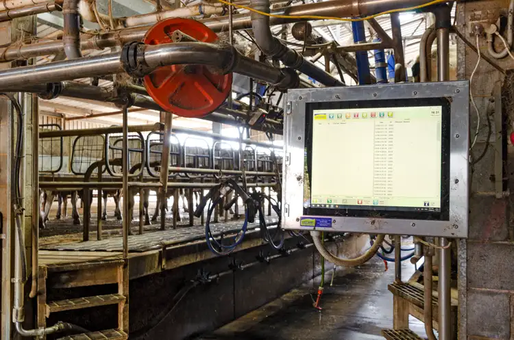 Fourth view of Homely rural property listing, 113 Suttons And Bryants Road, Gorae West VIC 3305