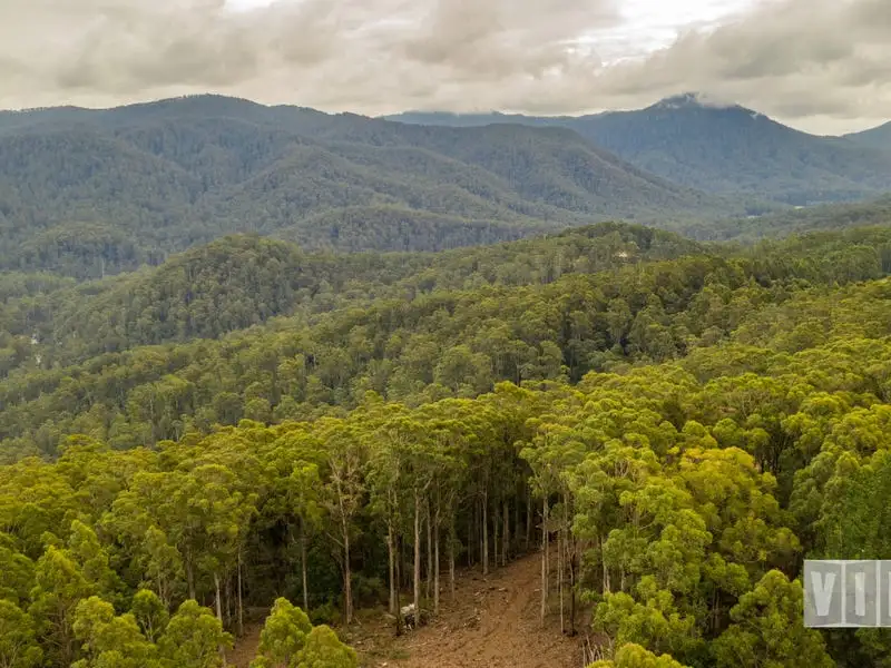 Main view of Homely land listing, 32 Gunns Plains Road, North Motton TAS 7315