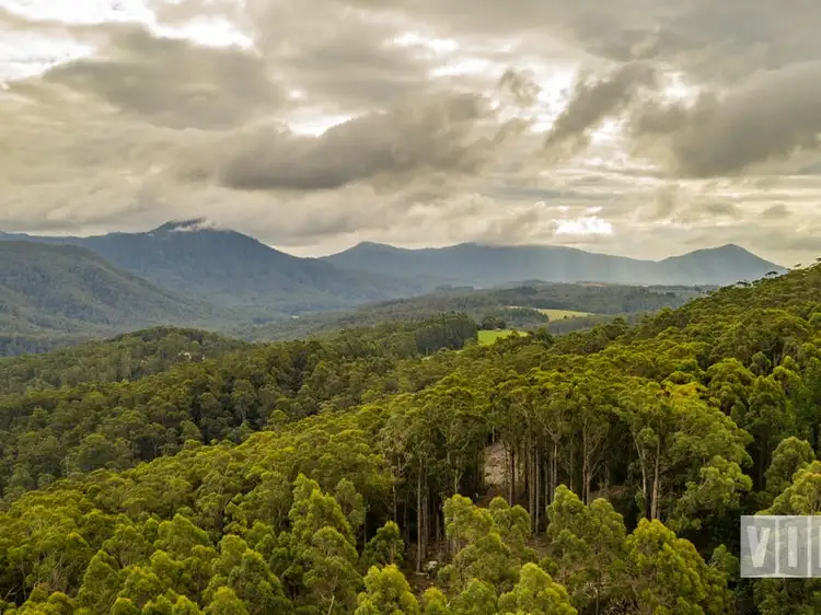 Sixth view of Homely land listing, 32 Gunns Plains Road, North Motton TAS 7315