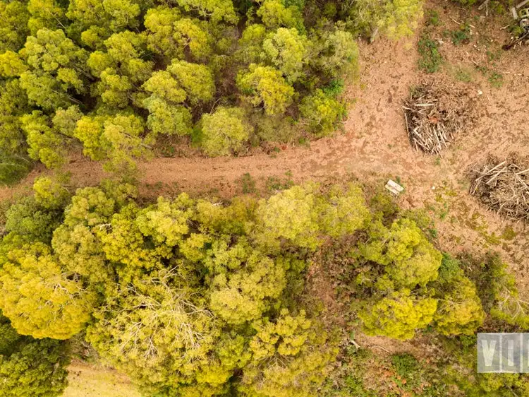 Seventh view of Homely land listing, 32 Gunns Plains Road, North Motton TAS 7315