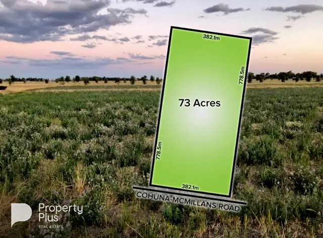 Main view of Homely land listing, 1000 Cohuna-McMillans Road, Cohuna VIC 3568