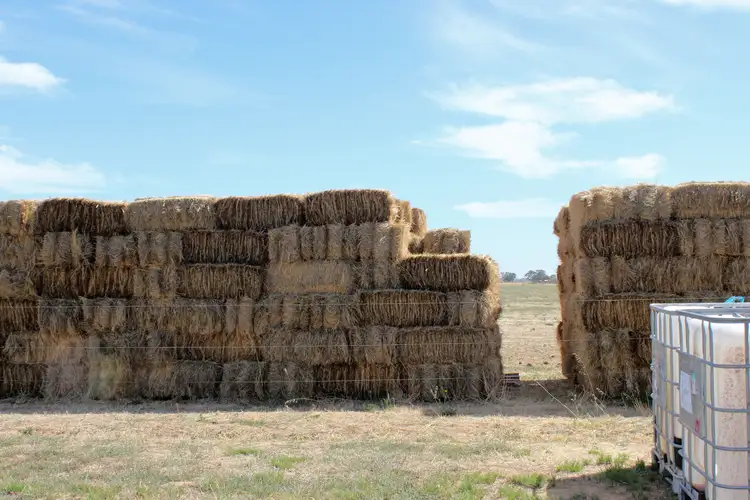Fifth view of Homely land listing, 1000 Cohuna-McMillans Road, Cohuna VIC 3568