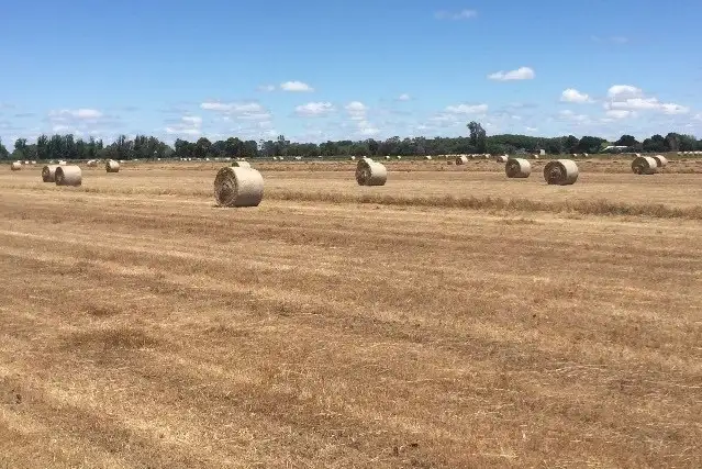 Seventh view of Homely land listing, 1000 Cohuna-McMillans Road, Cohuna VIC 3568