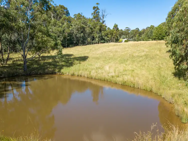 Second view of Homely land listing, 2610 Mansfield-Whitfield Road, Tolmie VIC 3723