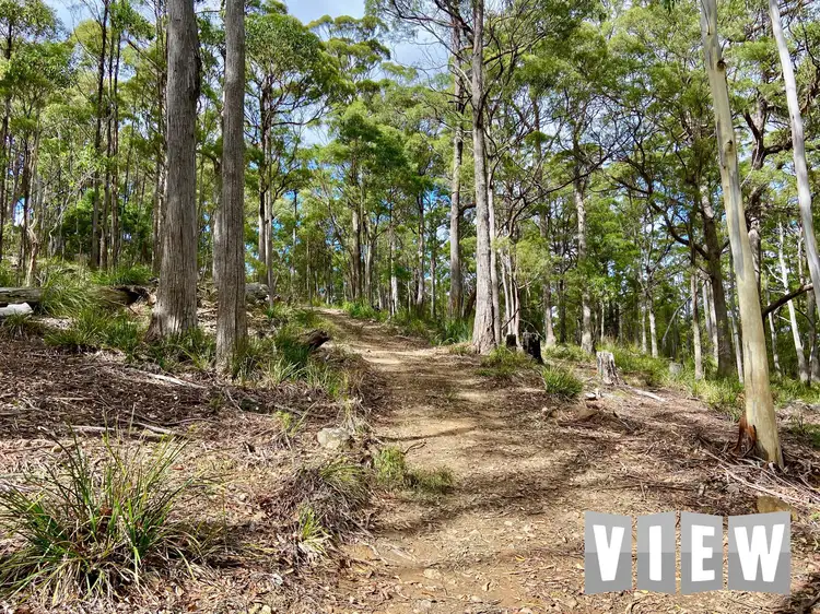 204 Richardson Road, St Marys TAS 7215