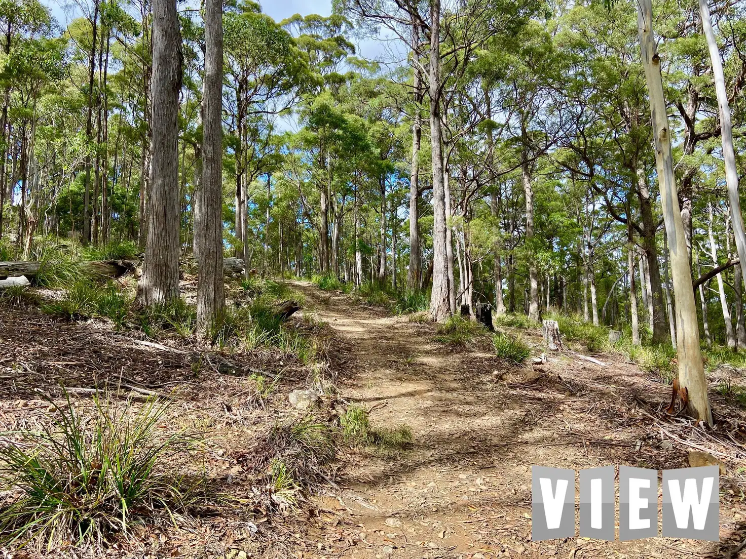 Main view of Homely land listing, 204 Richardson Road, St Marys TAS 7215