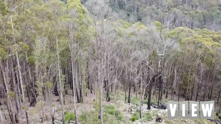 Fifth view of Homely land listing, 204 Richardson Road, St Marys TAS 7215