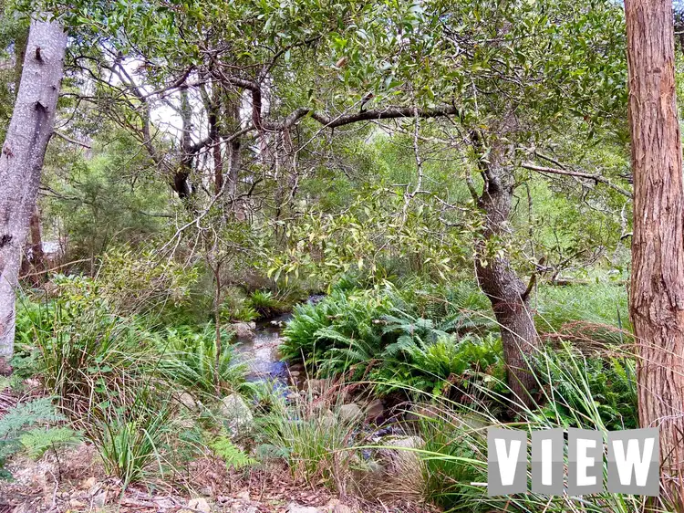 Sixth view of Homely land listing, 204 Richardson Road, St Marys TAS 7215