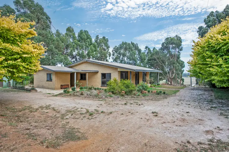 Main view of Homely rural property listing, 206 Boys Road, South Forest TAS 7330