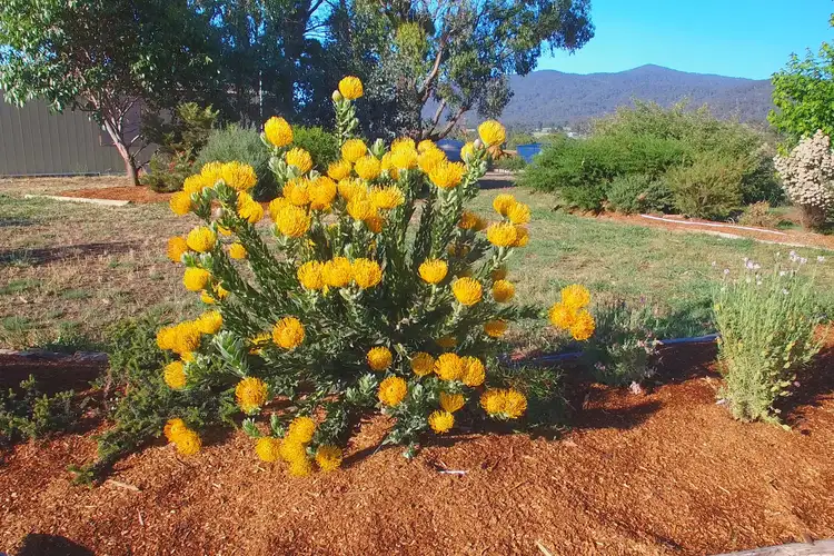 Third view of Homely land listing, 112 Peacheys Lane, Barjarg VIC 3723