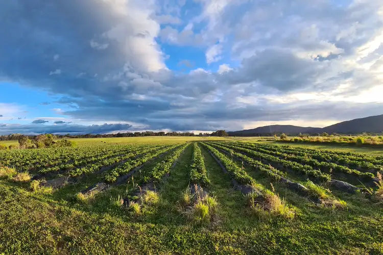 Seventh view of Homely land listing, 112 Peacheys Lane, Barjarg VIC 3723
