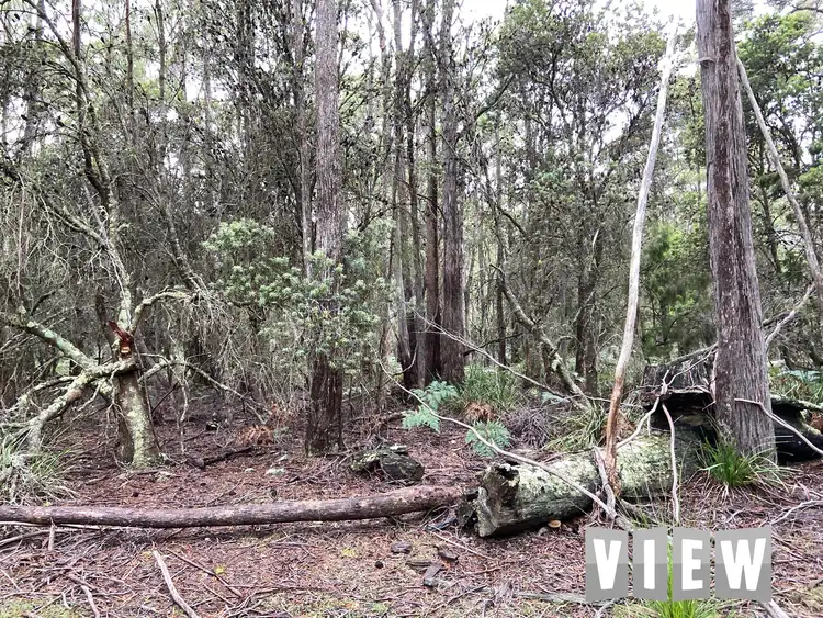 Second view of Homely land listing, PID 6408496 Elephant Pass Road, St Marys TAS 7215
