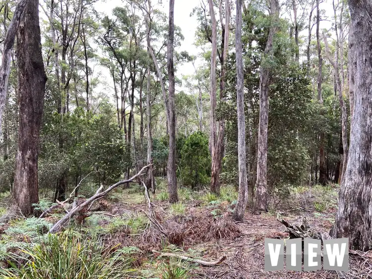Third view of Homely land listing, PID 6408496 Elephant Pass Road, St Marys TAS 7215