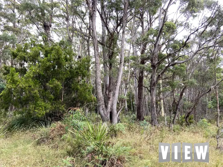 Fourth view of Homely land listing, PID 6408496 Elephant Pass Road, St Marys TAS 7215