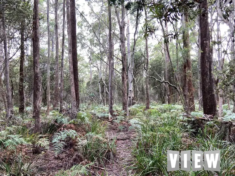 Fifth view of Homely land listing, PID 6408496 Elephant Pass Road, St Marys TAS 7215